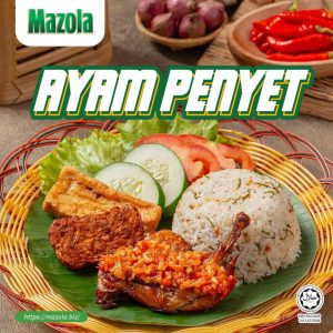 Read more about the article Ayam Penyet